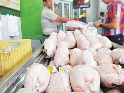 استحصال بیش از ۳۱ هزار تن گوشت بهداشتی در۳ ماهه جاری 