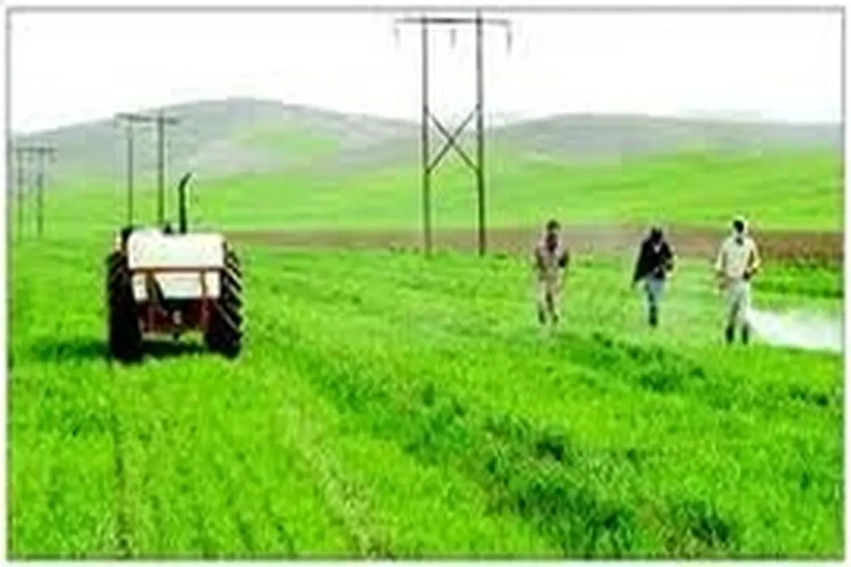 اقتصاد شهر، بدون اقتصاد روستا پایدار نمی شود