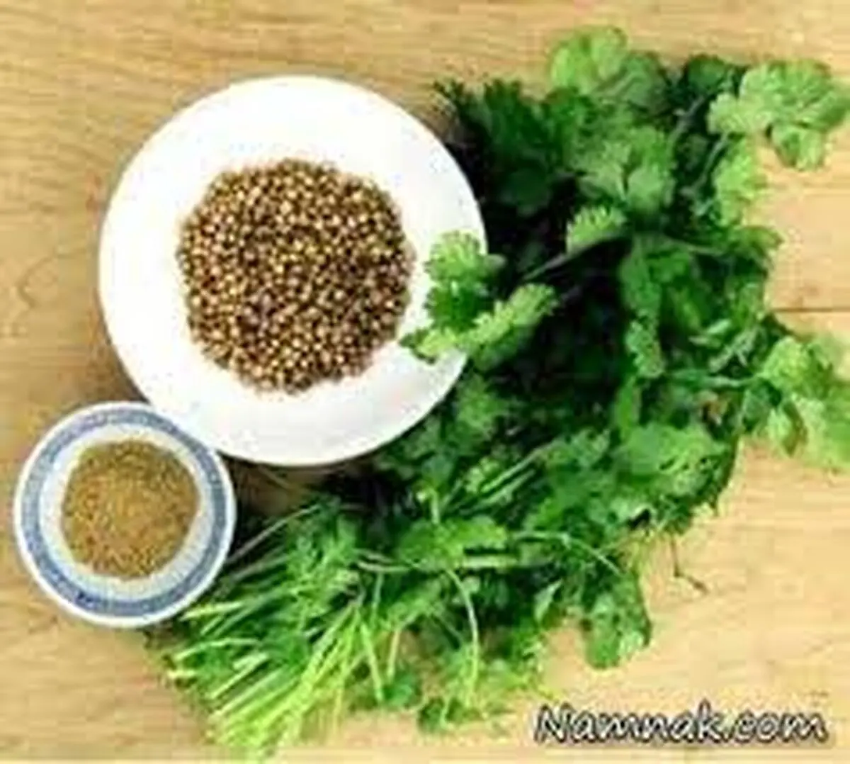 100درصد محصول گشنیز خام فروشی می شود