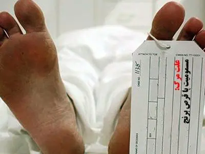 آمار مرگ و میر ناشی از مسمومیت با قرص برنج؛ تهران و مازندران در صدر