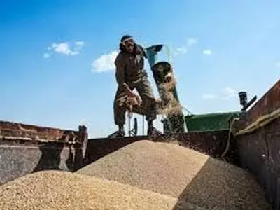 برخورد با قاچاق گندم در کرمانشاه تشدید می شود