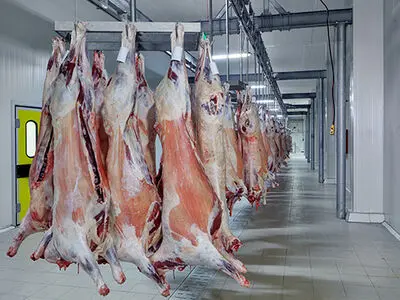 کشتارگاه صنعتی تربت‌حیدریه پس از سال ها انتظار افتتاح شد