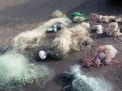 کشف و جمع‌آوری بیش از 700 متر تور دام از تالاب سلدوز شهرستان نقده 