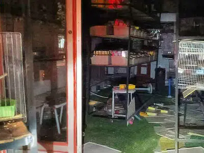 آتش‌سوزی مغازه پرندگان زینتی در خمینی‌شهر ده‌ها پرنده را به کام مرگ برد