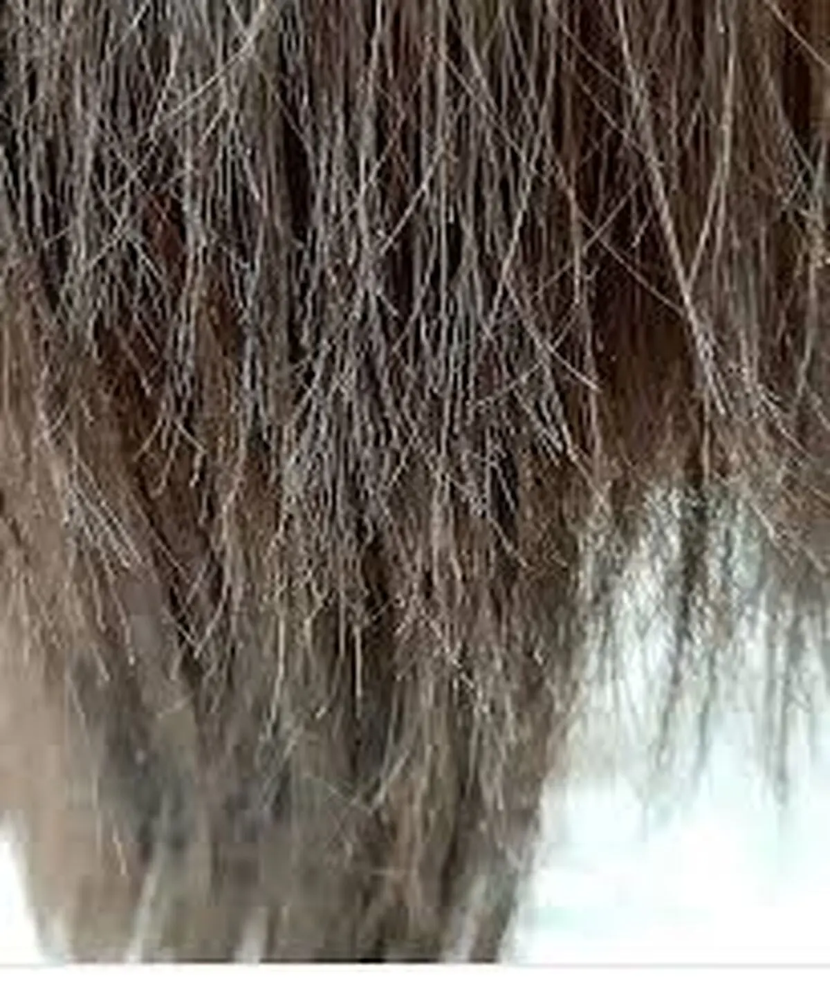 راهکار‌های باورنکردنی برای مقابله با آسیب دیدگی مو