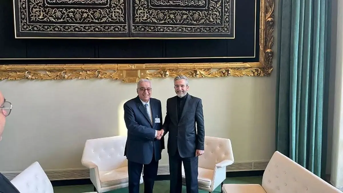 Iranian Lebanese top diplomats meet in New York on bilateral regional issues
