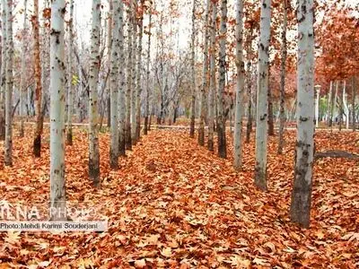 پاییز در اصفهان 