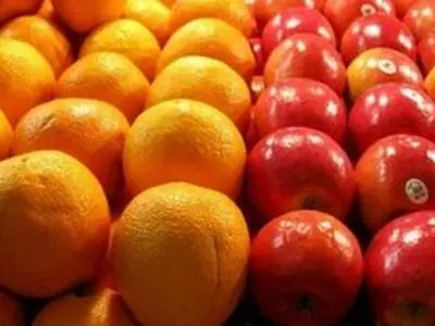 قیمت این میوه پاییزی در بازار کیلویی چند؟+ قیمت پسته تازه