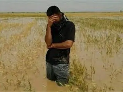 آغاز پرداخت غرامت کشاورزان سیل زده 