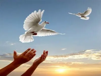 آزادی یک محکوم پس از 9 سال در گلستان
