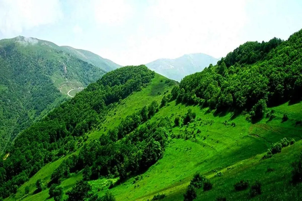 جنگل‌های ارسباران ثبت جهانی نشد