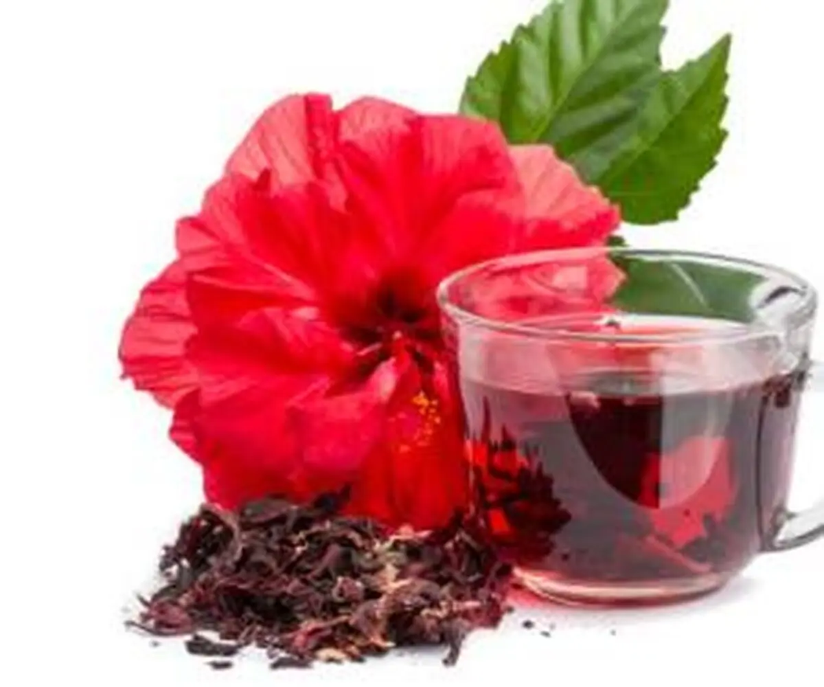 آشنایی با چای ترش و خاصیت های بیشمار آن