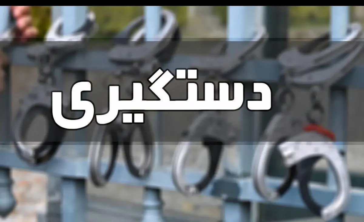 اراذل و اوباش مسلح با شلیک پلیس زمین گیر شدند