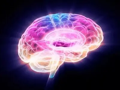 محققان با خاموش‌ کردن یک پروتئین، پیری مغز را در موش‌ها معکوس کردند