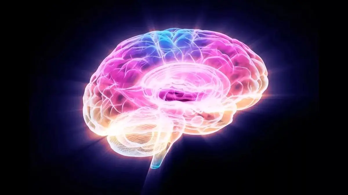 محققان با خاموش‌ کردن یک پروتئین، پیری مغز را در موش‌ها معکوس کردند