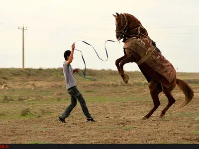 نمایش مستند «آتلان» در جشنواره "تیبورون" آمریکا