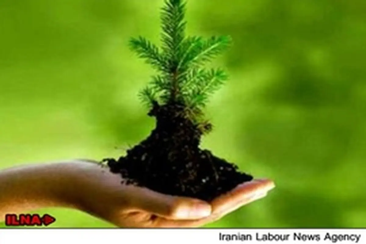 گسترش مشاغل سبز به افزایش اشتغال پایدار می‌انجامد