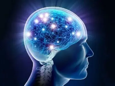 آیا «هوش» ارثی است؟
