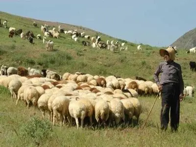 سمنان دارای 3 میلیون و 741 هزار هکتار مرتع قابل تعلیف است