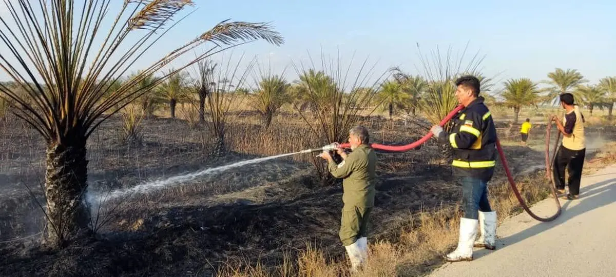 ۲۰۰ نخل در شادگان دچار آتش سوزی شدند