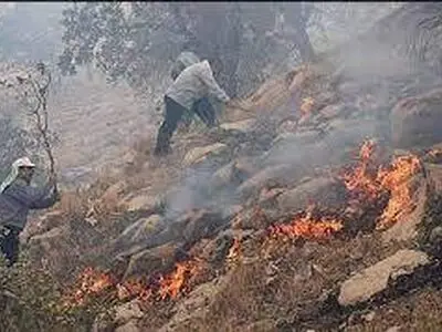 مهار آتش سوزی در منابع طبیعی ثلاث باباجانی