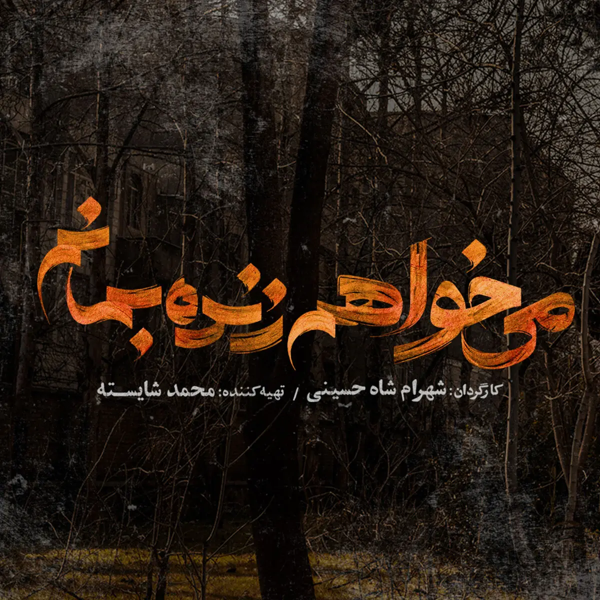 «می‌خواهم زنده بمانم» سریال جدید نمایش خانگی/ یک عاشقانه دهه شصتی