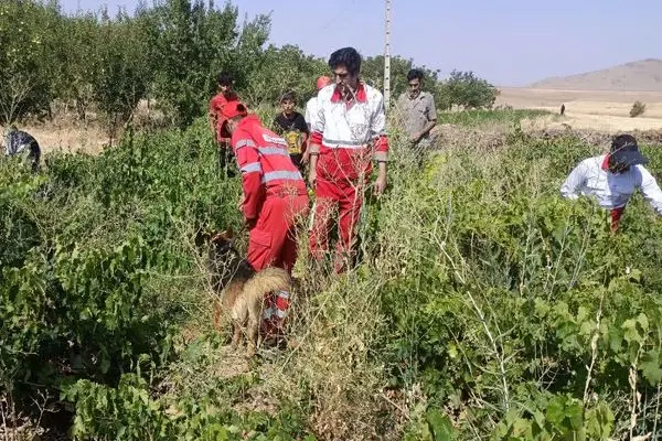 جست‌وجو برای پیدا کردن دختربچه ۲ ساله الیگودرزی ادامه دارد