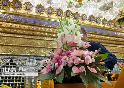 گل آرایی ضریح مطهر حضرت فاطمه معصومه 