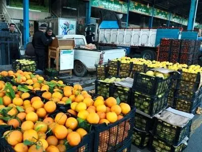 ذخیره سازی ۴۵۰ تن میوه شب عید در استان کردستان/زمان توزیع آخر هفته جاری