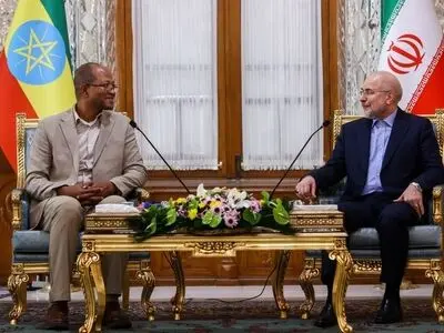 
Iran, Ethiopia parliament speakers meet in Tehran
