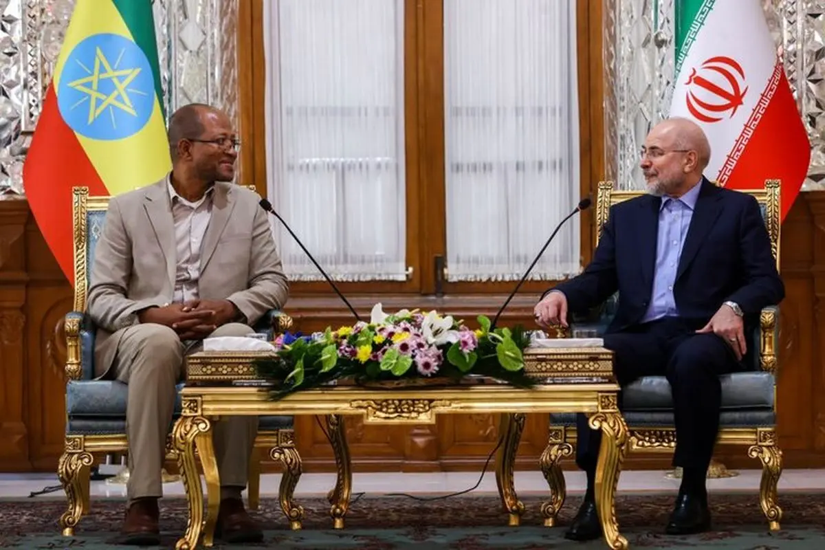 
Iran, Ethiopia parliament speakers meet in Tehran
