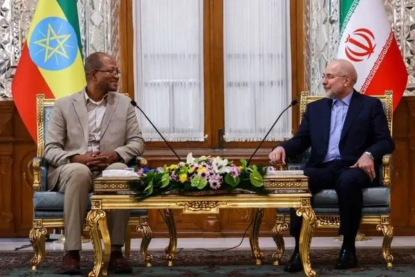
Iran, Ethiopia parliament speakers meet in Tehran
