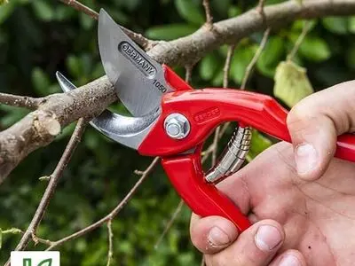 آشنایی با انواع قیچی هایی که در حوزه باغبانی مورد استفاده قرار میگیرند!