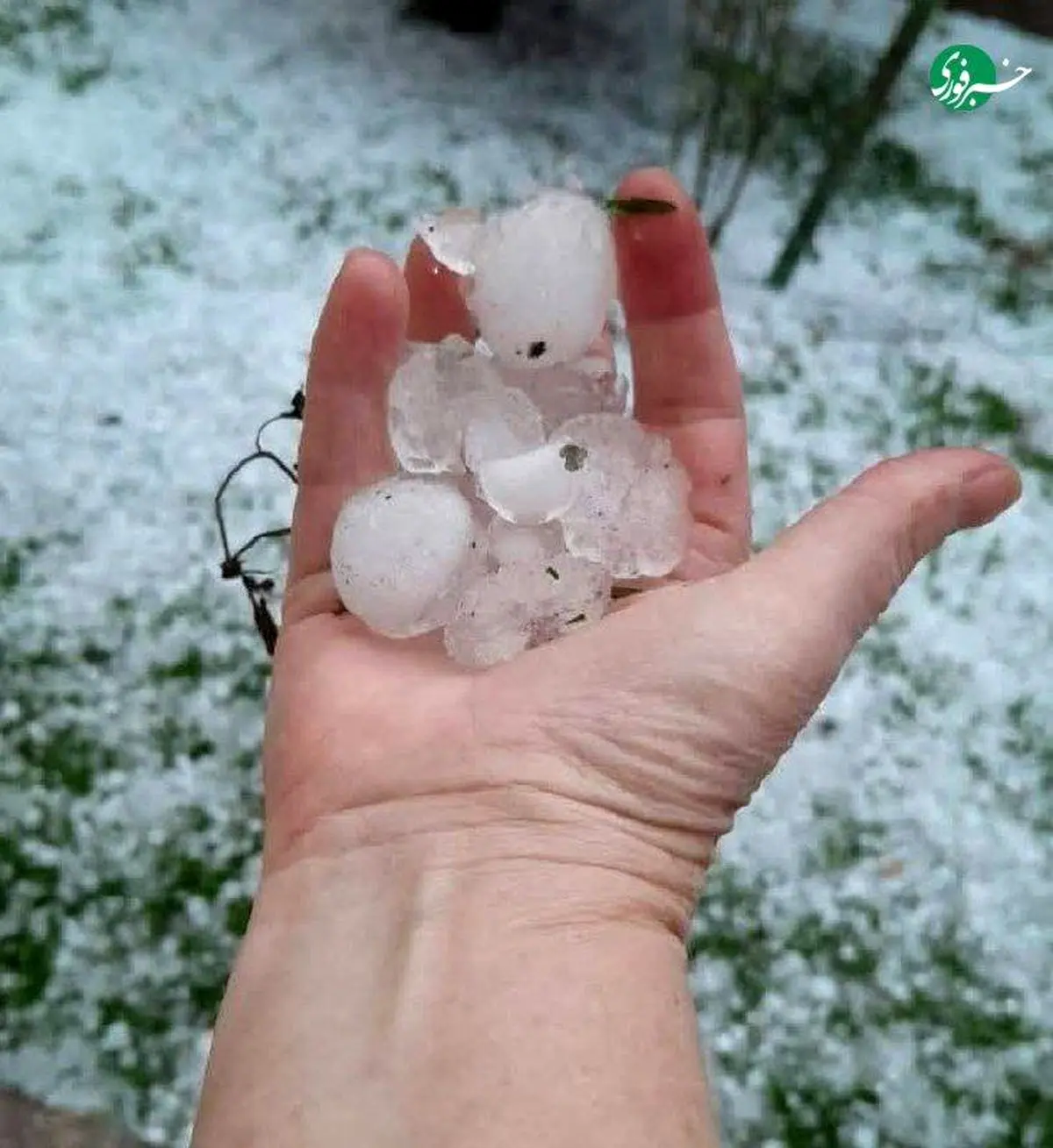 تصاویری از بارش سنگین تگرگ در برزیل +فیلم