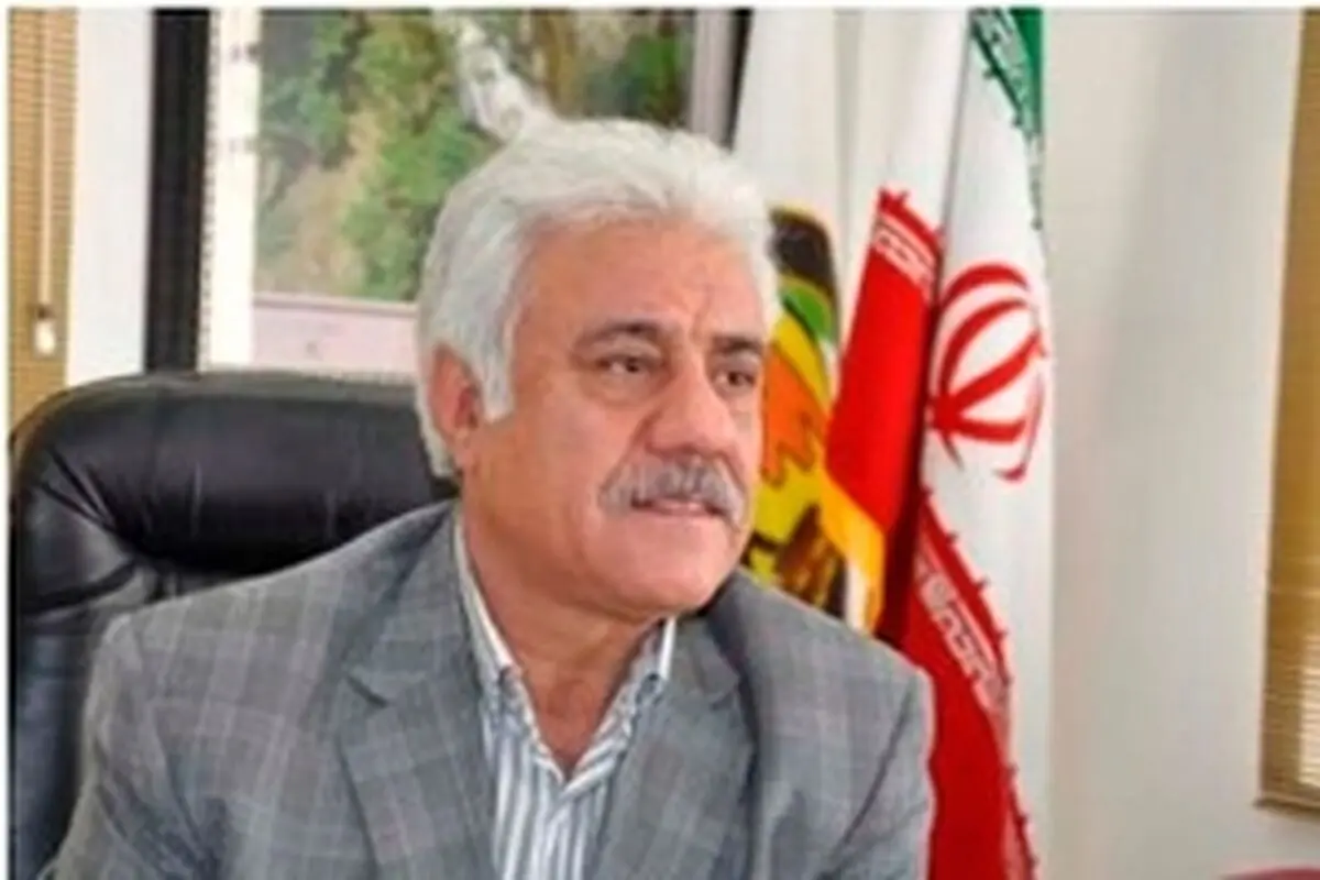 کسب عنوان دوم شرکت توزیع برق لرستان در کشور