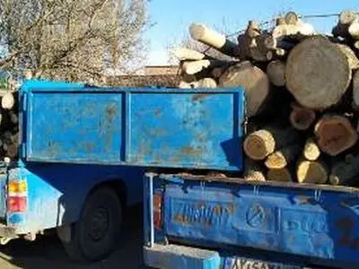 کشف ۵۸ اصله چوب‌آلات قاچاق جنگلی در استان اردبیل 
