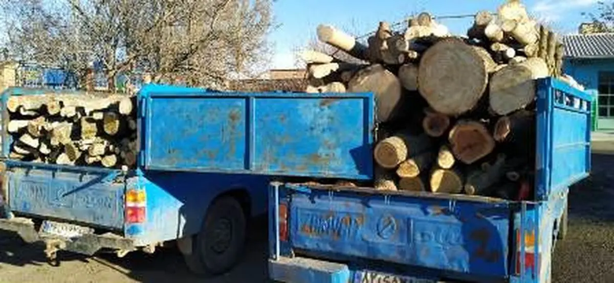 کشف 5 تن چوب‌آلات قاچاق جنگلی در اردبیل
