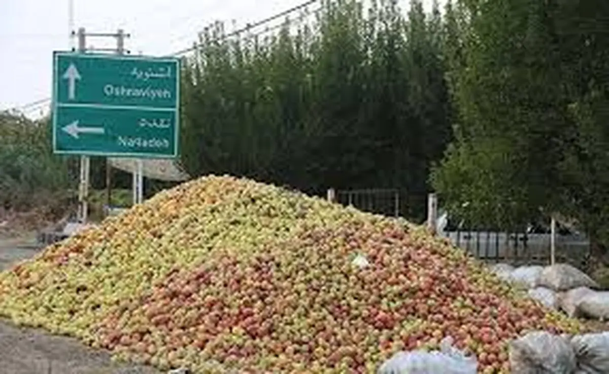 سیب آذربایجان‌غربی؛ محصول طلایی یا دغدغه تکراری باغداران؟
