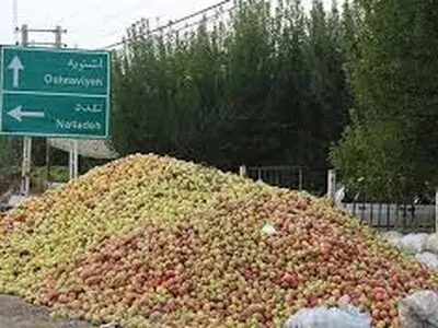 سیب آذربایجان‌غربی؛ محصول طلایی یا دغدغه تکراری باغداران؟