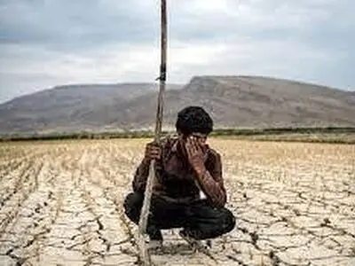 خسارت 19هزار و260 میلیارد ریالی خشکسالی به کشاورزی استان مرکزی 
