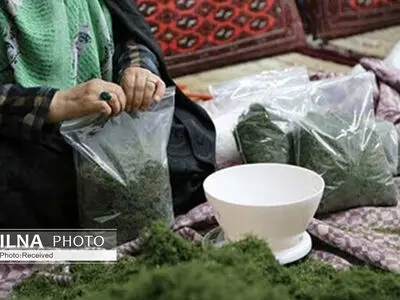 روستاهای استان البرز، پتانسیل تولید و اشتغال را در بخش مشاغل خانگی دارند