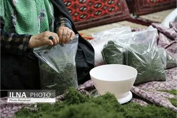 روستاهای استان البرز، پتانسیل تولید و اشتغال را در بخش مشاغل خانگی دارند