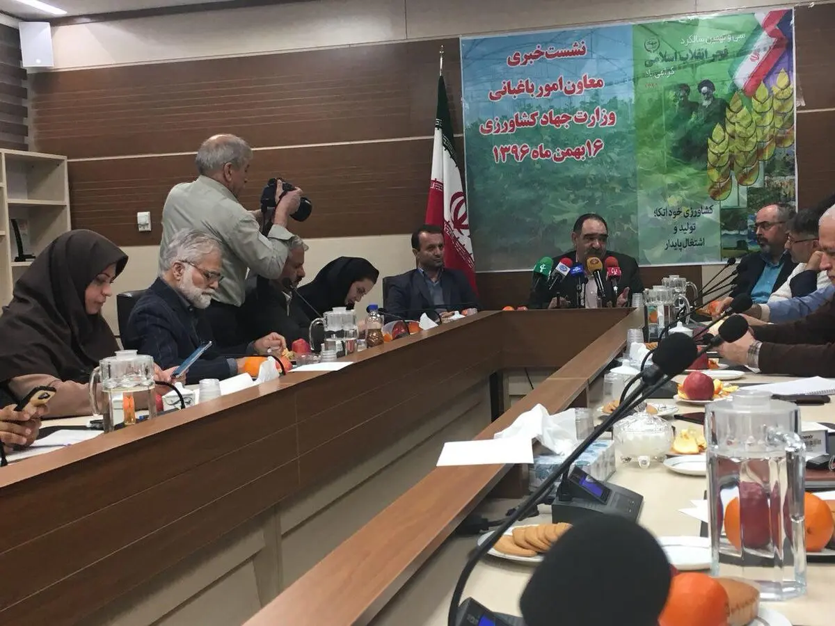 صادرات ٣٨١ هزارتن سیب در سال ٩٦/ بیش از ٥ میلیون تن مرکبات تا پایان سال تولید می شود