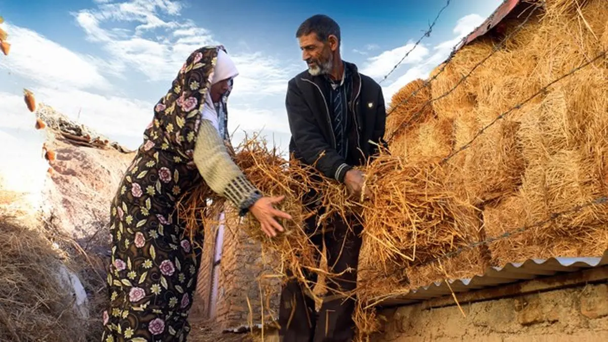 حمایت از ۱۳ صندوق اعتبارات خرد زنان روستایی در شهرستان سبزوار 