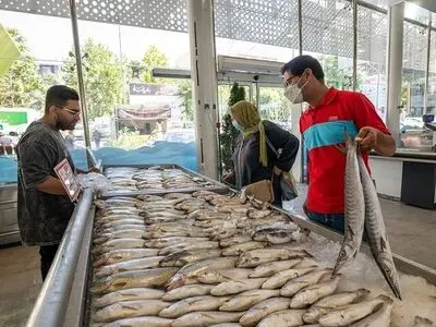 قیمت انواع ماهی در میادین تهران اعلام شد