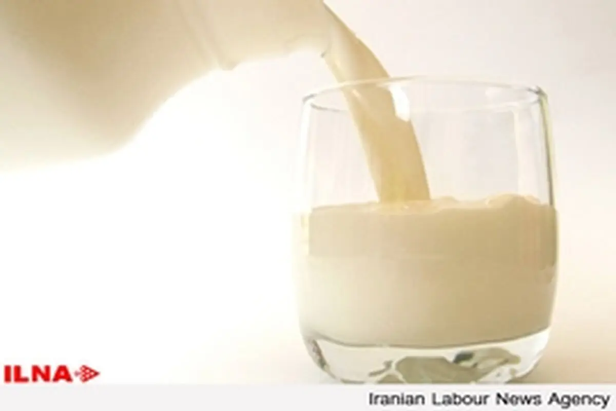 یارانه شیر تا پایان سال به دامداران پرداخت می‌شود