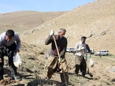 اجرای عملیات کپه‌کاری در 70 هکتار از مراتع شهرستان تفرش 