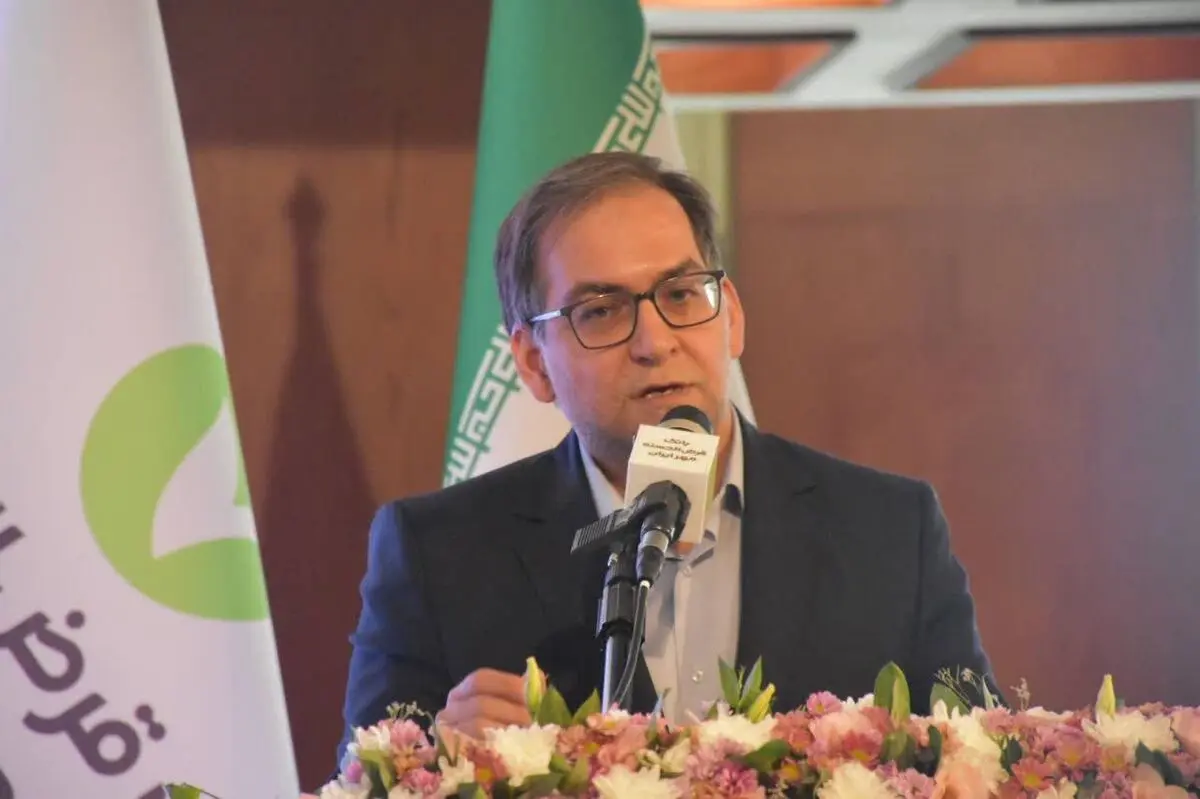 فارس در قعر جدول بهره‌مندی از منابع بانکی/صنایع از کمبود تسهیلات متناسب با نیاز تولید گلایه دارند