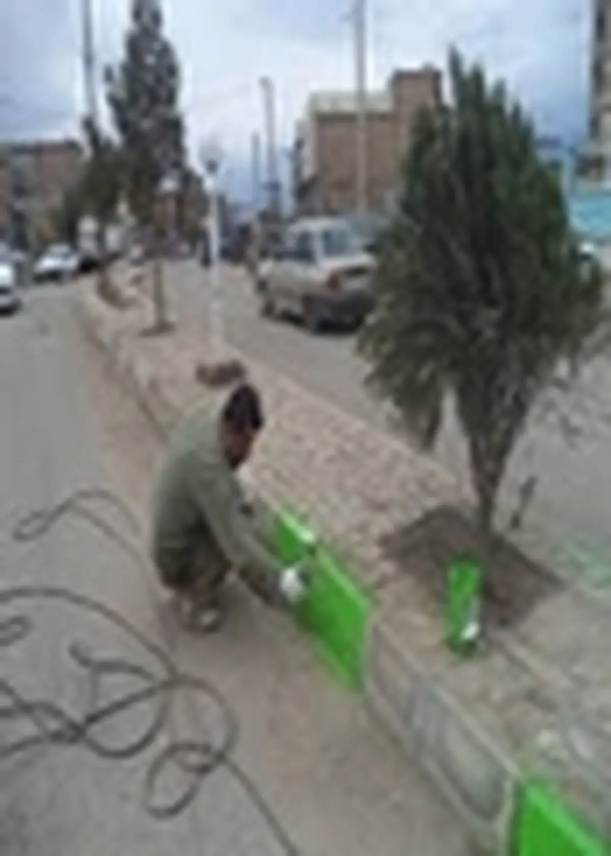 رنگ آمیزی و چراغانی بلوار چمخاله به گالشگلام