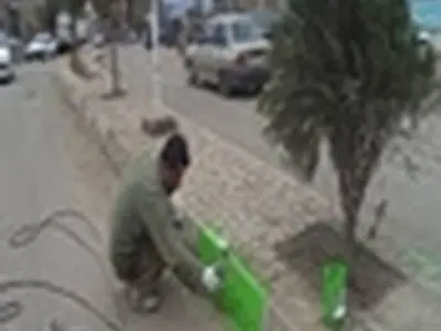 رنگ آمیزی و چراغانی بلوار چمخاله به گالشگلام